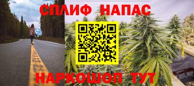 мдпв Ипатово