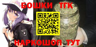 прущие грибы Кандалакша